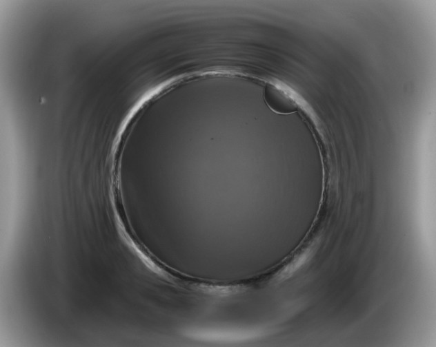 X0000086240941200704121931