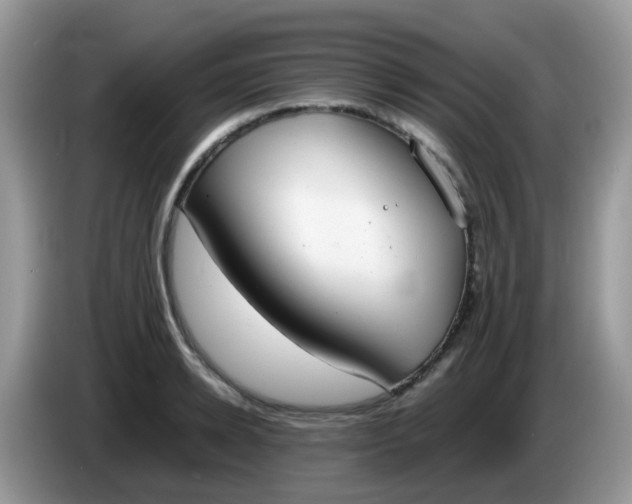 X0000086240942200704121931