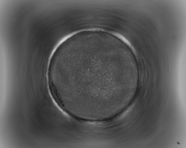 X0000086240943200704121931