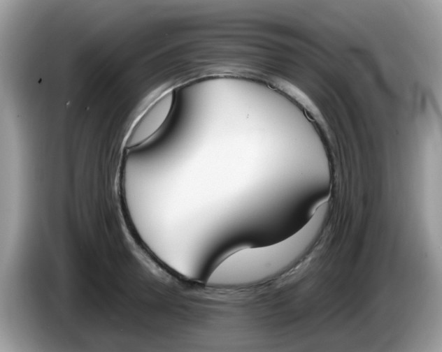 X0000086240946200704121931