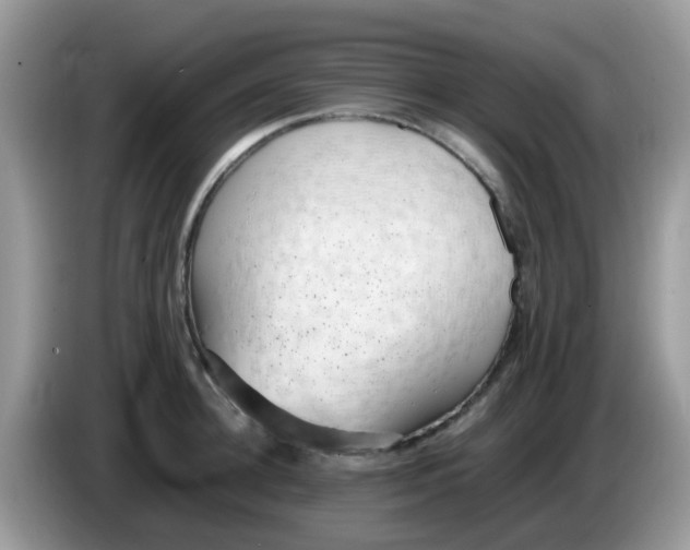 X0000086240948200704121931