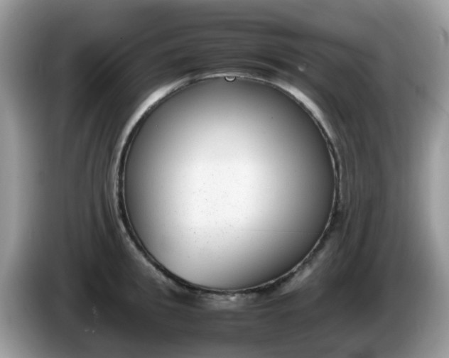 X0000086240949200704121931