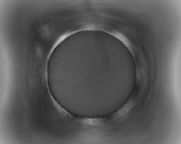X0000086240950200704121931