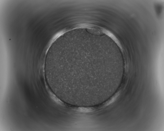 X0000086240954200704121931