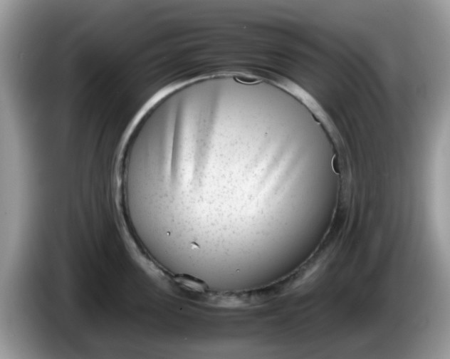 X0000086240955200704121931
