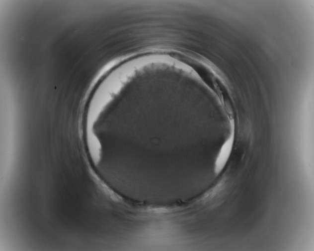 X0000086240958200704121931