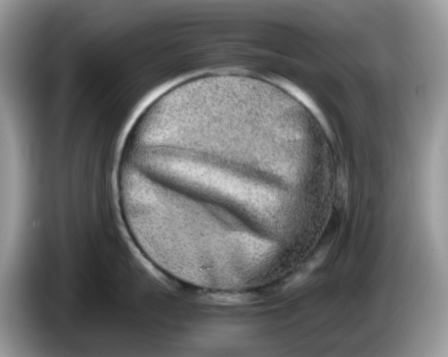 X0000086240959200704121931