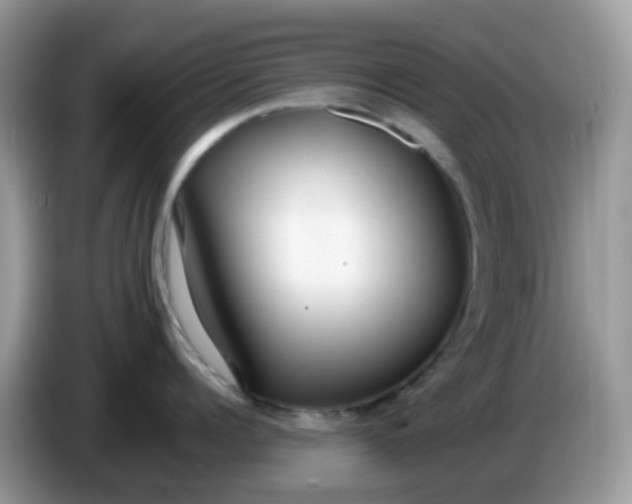 X0000086240960200704121931