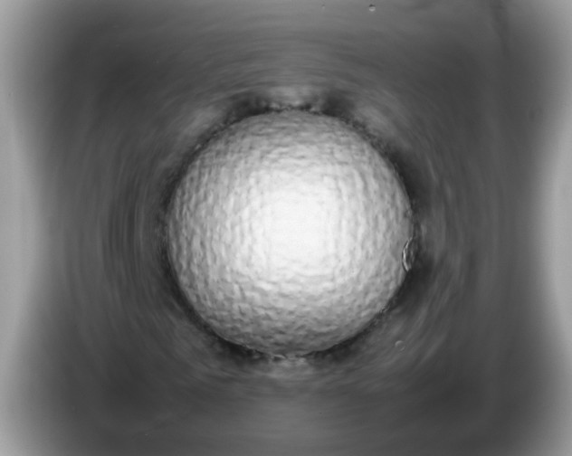 X0000086240961200704121931