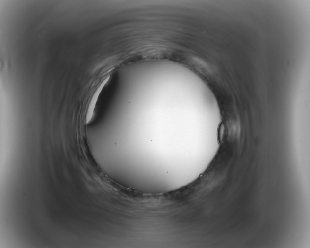 X0000086240964200704121931