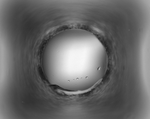 X0000086240965200704121931