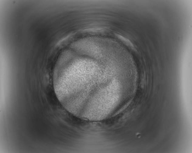 X0000086240966200704121931