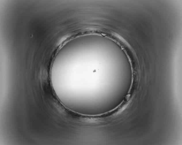 X0000086240969200704121930
