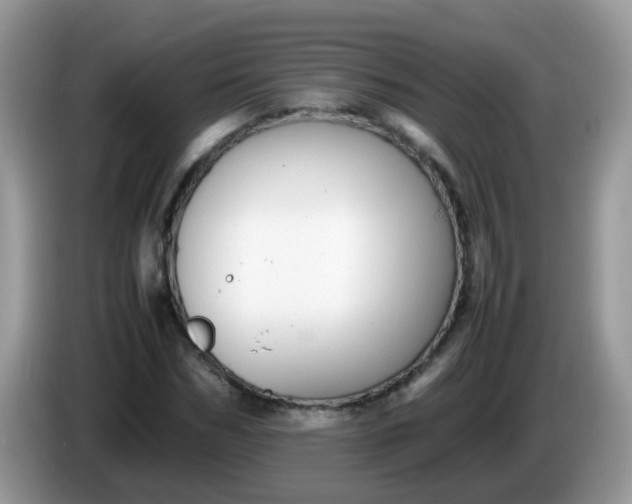 X0000086240970200704121930