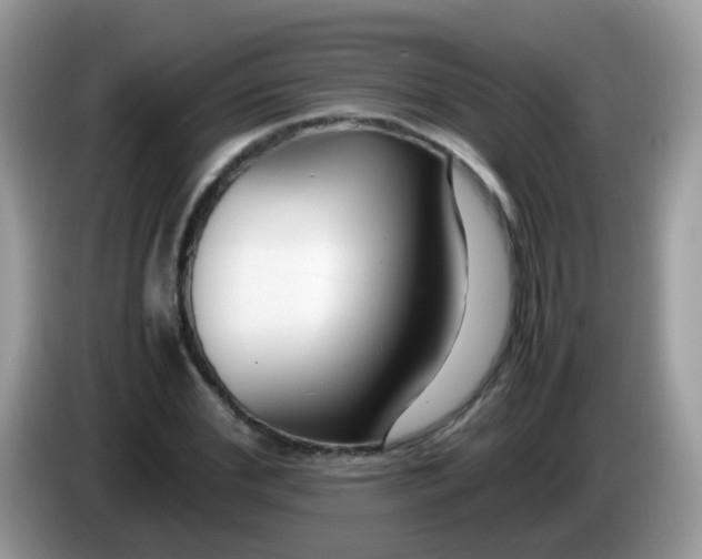 X0000086240972200704121930