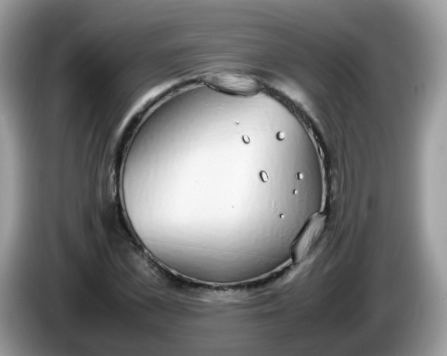 X0000086240973200704121930