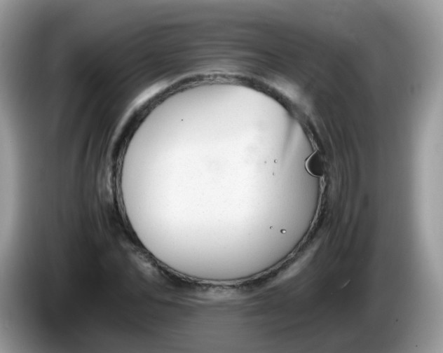 X0000086240974200704121930