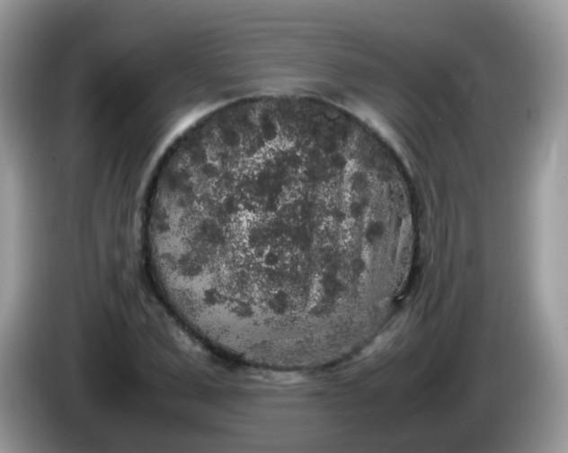 X0000086240975200704121930