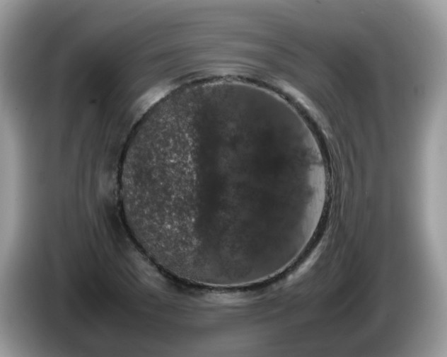 X0000086240977200704121930