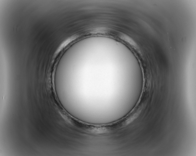 X0000086240978200704121930