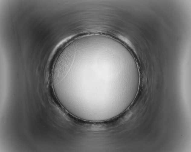 X0000086240979200704121930