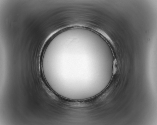X0000086240980200704121930