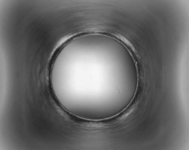 X0000086240981200704121930