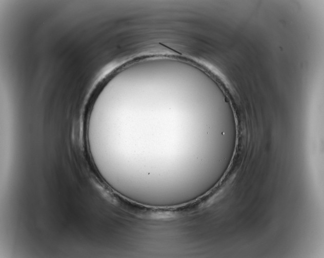 X0000086240982200704121930