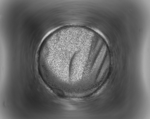 X0000086240983200704121930