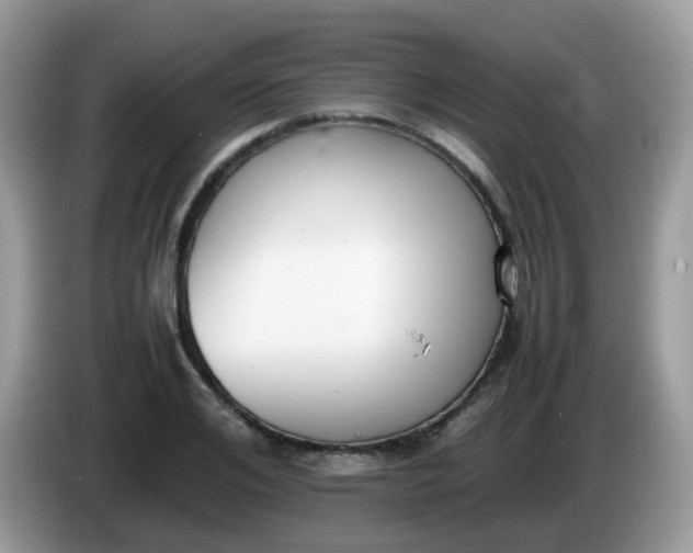 X0000086240984200704121930