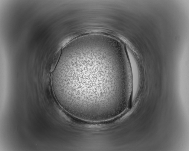 X0000086240985200704121930