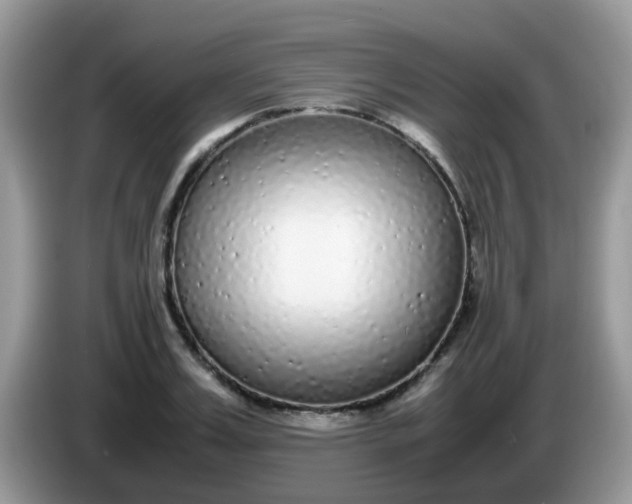 X0000086240987200704121930