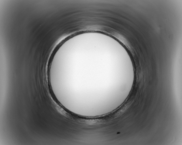 X0000086240988200704121930