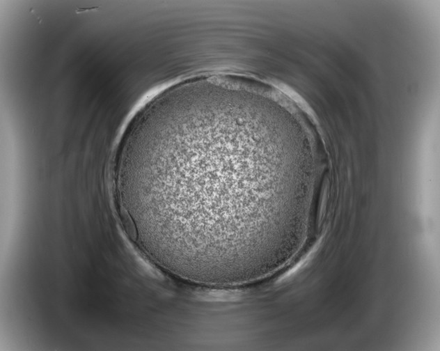 X0000086240989200704121930