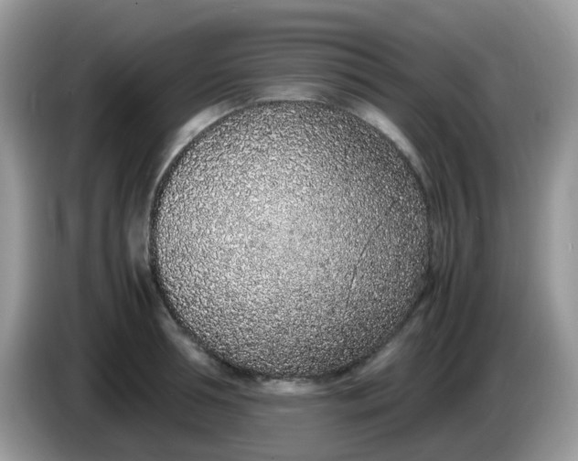 X0000086240994200704121930
