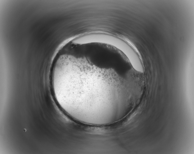 X0000086240995200704121930