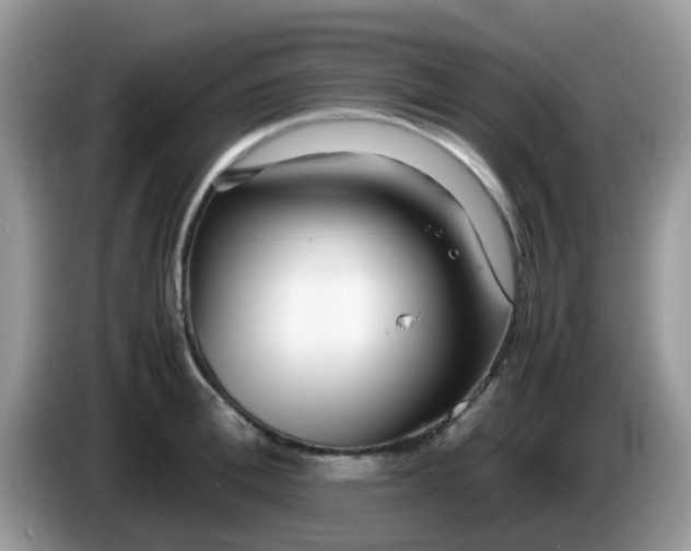 X0000086240996200704121930