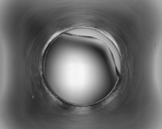 X0000086240997200704121930