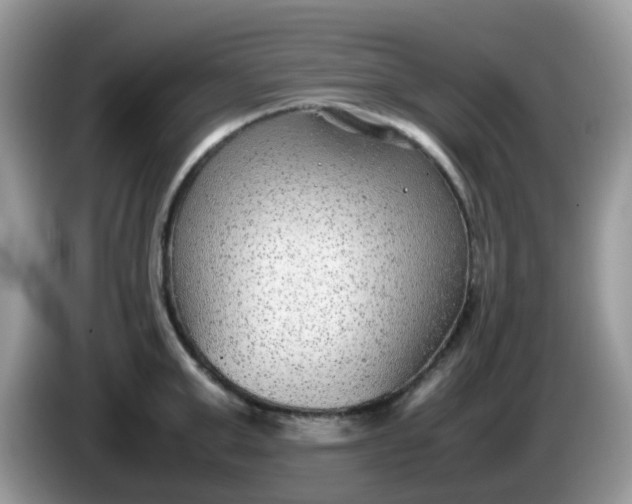 X0000086240999200704121930