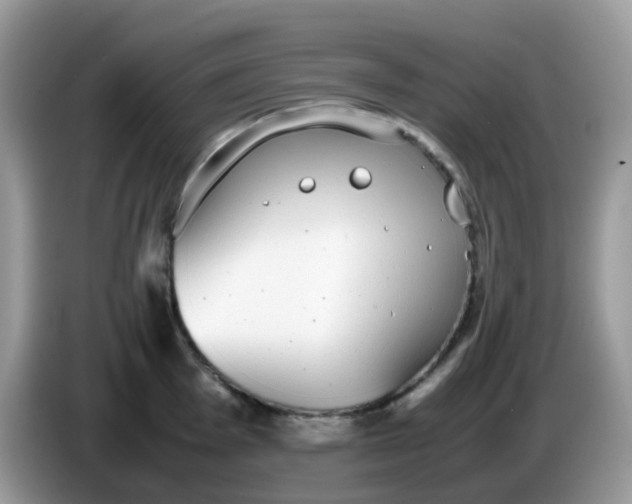 X0000086241001200704121930