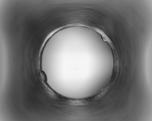 X0000086241004200704121930