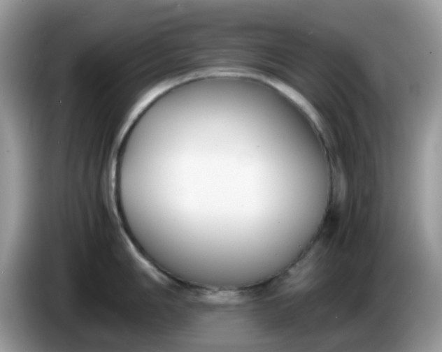 X0000086241006200704121930