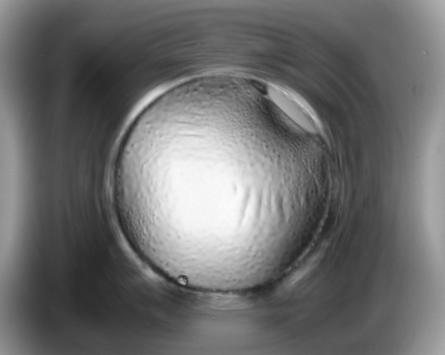 X0000086241007200704121930