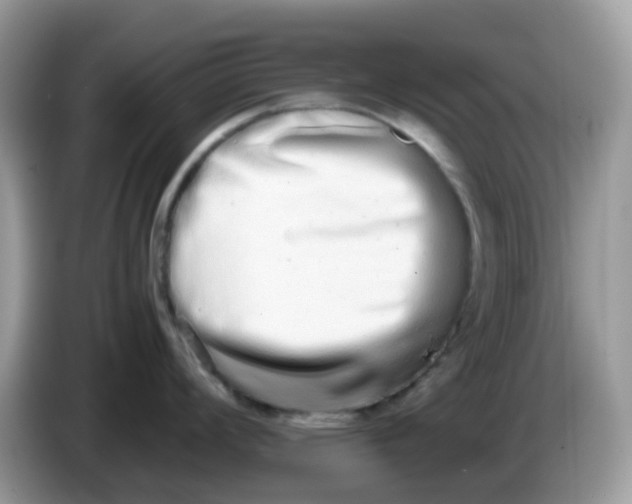 X0000086241008200704121930
