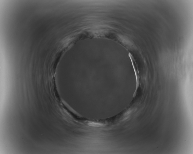 X0000086241010200704121929