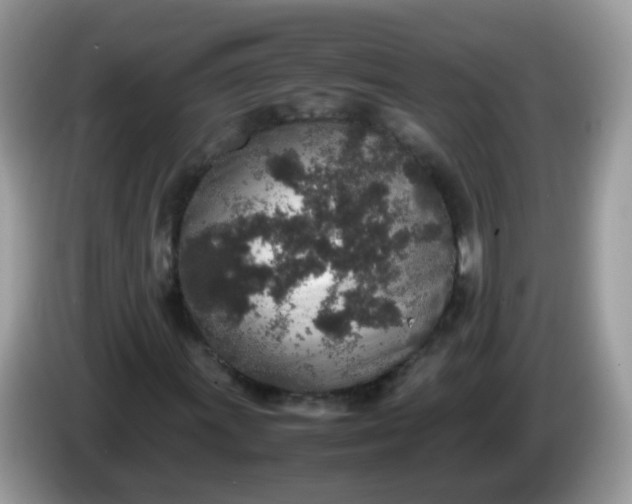 X0000086241011200704121929