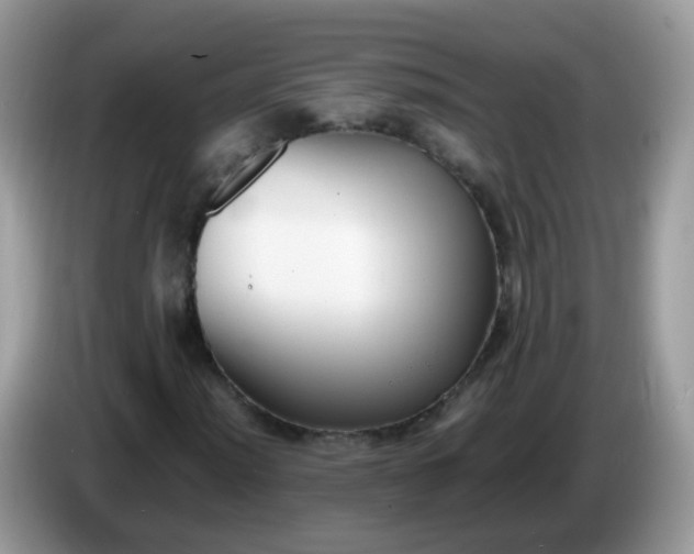 X0000086241012200704121929