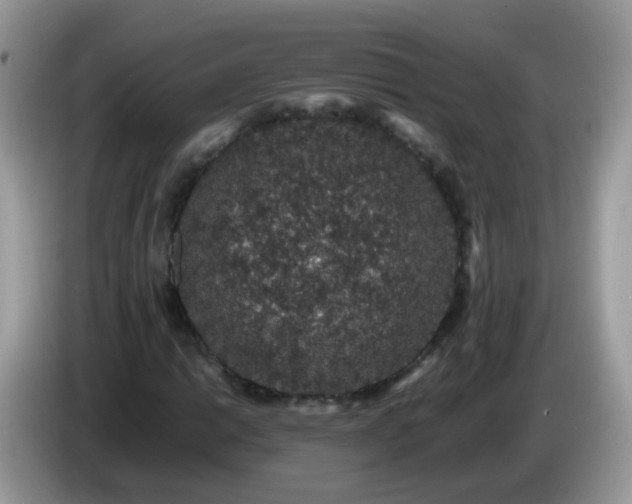 X0000086241014200704121930