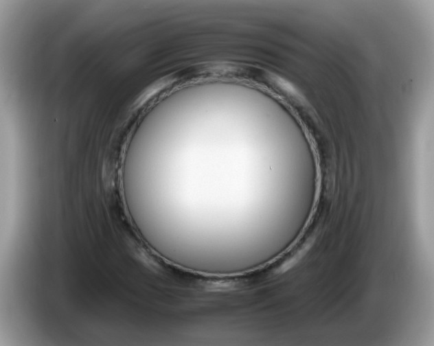 X0000086241017200704121930