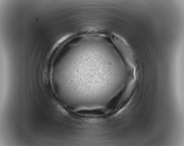 X0000086241018200704121930